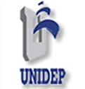 UNIVERSIDAD DEL DESARROLLO PROFESIONAL
